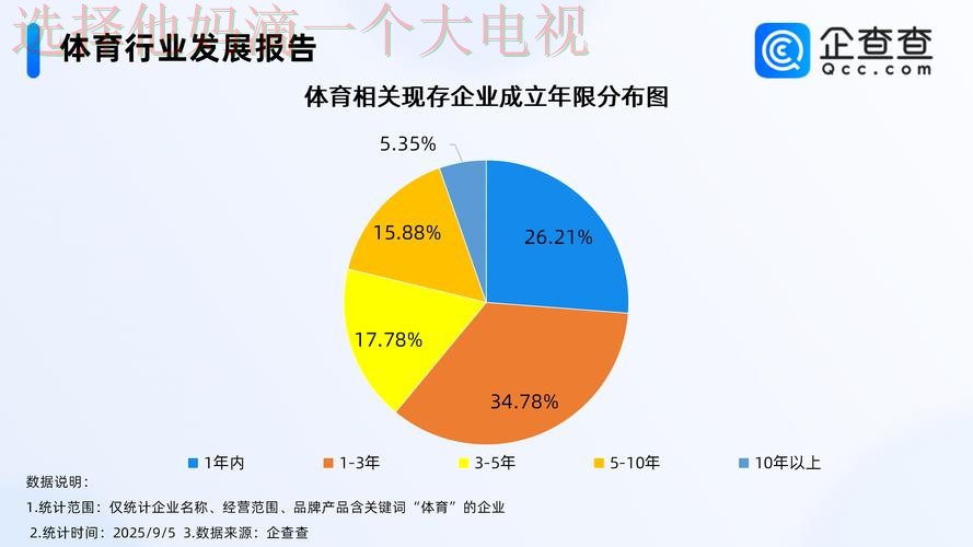 IM体育科技控股未来发展解析 IM体育科技控股未来发展解析